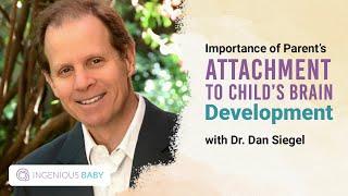 Why Attachment Parenting Matters | Daniel J. Siegel, M.D. | Ingenious Baby