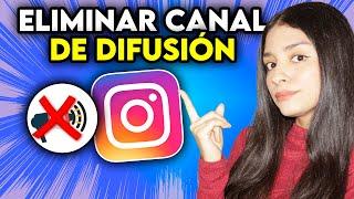 How to Delete Broadcast Channel on Instagram (2024)