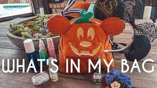 What's in my Disney bag | Epic Finds I Bring into the parks