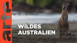 Australiens wilde Küsten | ARTE Family