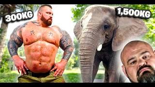 STRONGMAN Swims with ELEPHANTS & Chimps! | ft Brian Shaw