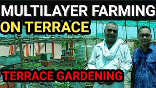 MULTILAYER FARMING ON TERRACE | TERRACE GARDEN | TERRACE GARDENING | ROOFTOP GARDEN