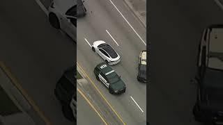 Crazy GTA-Like High Speed Chase | LX News