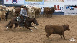 West Texas Futurity Open Classic Champion 2024