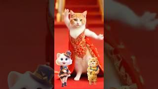 Dancing Cat Video  #catdance #shorts