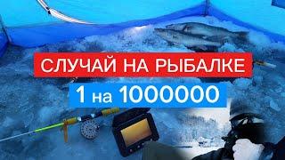 СЛУЧАЙ на РЫБАЛКЕ! ЛОВИМ ХИЩНИКА на ЖЕРЛИЦЫ!