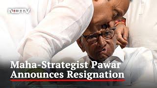 Sharad Pawar's Resignation Shocker: Desperation Or Masterstroke? | The News