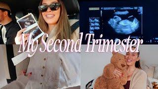 MY PREGNANCY SO FAR: Second Trimester Vlog & Gender Reveal | Suzie Bonaldi