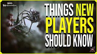 Neverwinter - Things new players should know !