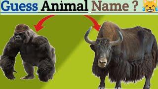 Guess The Animal Name | Guess 20 Animals Name in 2 min. | Guess The Animal Name With Timer |