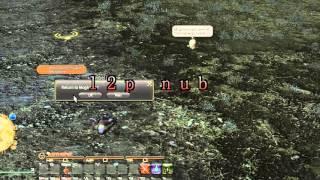 FFXIV death insult addon