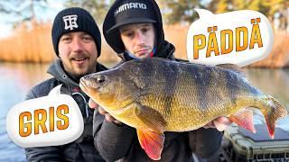 HOW TO CATCH BIG PERCH – Tips for Pros and Beginners