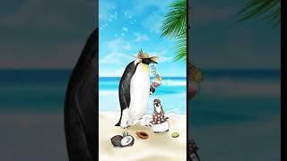 Samsung Galaxy Theme - Tropical Penguins (Premium Video AOD)