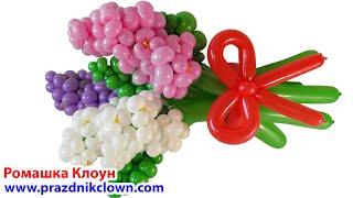 БУКЕТ СИРЕНИ цветы из воздушных шаров Balloon Lilac DIY TUTORIAL Flores con Globos globoflexia facil