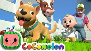 Bingo (Farm Version) | CoComelon Nursery Rhymes & Kids Songs