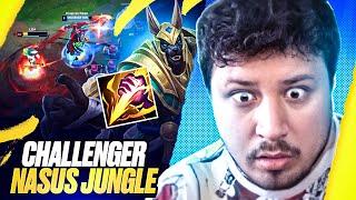 Skill tutturmaya gerek kalmadan challenger olan adam Nasus jungle analiz