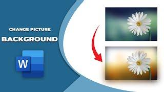 How to change picture background color in MS word