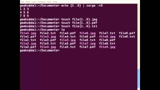 Using xargs in Linux