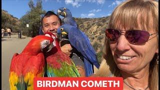 THE BIRDMAN COMETH! - Birdman Chan