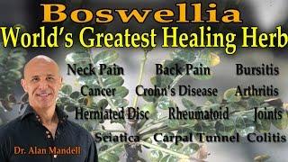 Boswellia - The World's Greatest Healing Herb (Inflammation, Pain, Arthritis, Cancer) - Dr Mandell