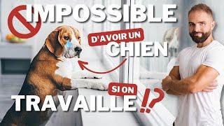 IMPOSSIBLE d'avoir un chien si on travaille ?