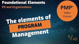 The elements of program management require a unique skill set