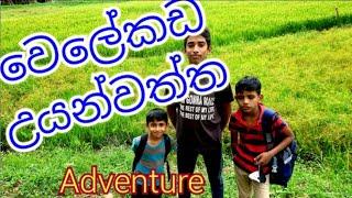 Natural Pond | වෙලේ කඩ | උයන්වත්ත | මාවනැල්ල |  Uyanwatta Mawanella | Welekada Uyanwatta | Sri Lanka