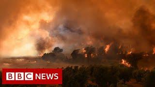 Eight dead as wildfires engulf Turkey resorts  - BBC News