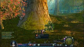 Aion Classic: Complete Poeta Playthrough as Scout 1-10 (All quests + Ascension) [No Commentary]