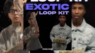 [FREE] Sampled Loop Kit / Atlanta Loop Kit - "Exotic" (Sampled, Lil Tony Official, Lil Rae)