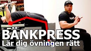 BÄNKPRESS TEKNIK | Så kan (ska) du göra