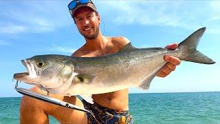 BIG Bluefish on Topwater! Shore fishing in Italy