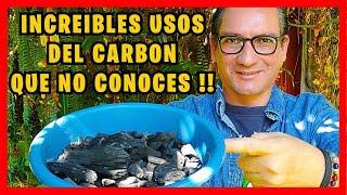 Incredible BENEFITS OF CARBON for all plants in the garden and orchard | Gio de la Rosa