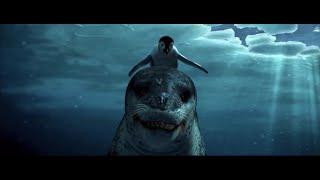 Happy Feet (Leopard Seal Attack)