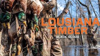 Best Duck Hunts in Timber | Best of Black Cloud