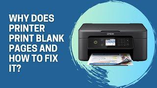 Epson prints blank pages. How to fix it? | INKCHIP Chipless Solution
