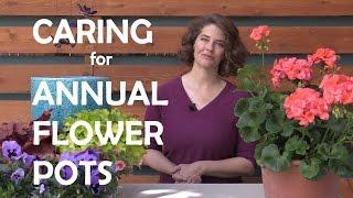 How to Care for Annual Flower Pots