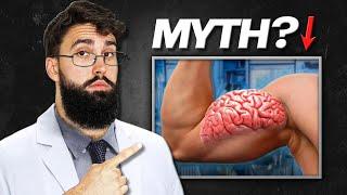 Is MUSCLE MEMORY real? (Science Explained)