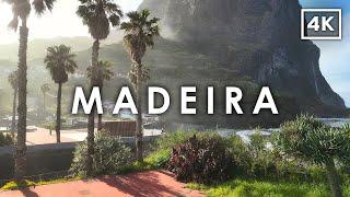 Discover MADEIRA  | The Hawaii of Europe | 4K Walking Tour in Portugal