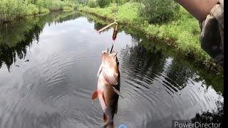 Рыбалка на спиннинг в Якутии. 2020г. Окунь, щука. Fishing in Yakutia.