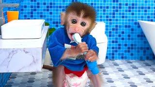 Baby monkey Chu Chu eats rainbow jelly and plays with ducklings in the bathroom