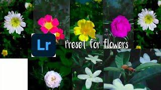 Presets for flower