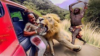 Afrika Safari Turunda Yaşanan En Korkutucu Olaylar