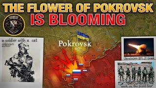 Cold War II️The End Is Nearer Than Ever⏳Pokrovsk Defense Has Collapsed️Military Summary 2024.12.10