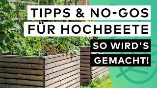 Hochbeete  ‍ Tipps und Fehler