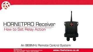 HORNETPRO RF Remote Control | How to set the Receiver Relay Action Modes