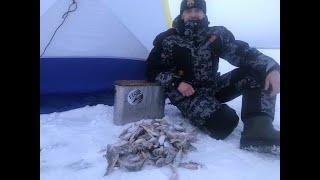 Зимняя рыбалка в Усть Алтане, сезон 2021-2022. winter fishing in Russia