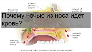 Почему ночью из носа идет кровь?