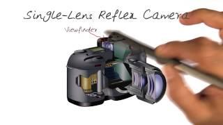 Single Lens Reflex Camera