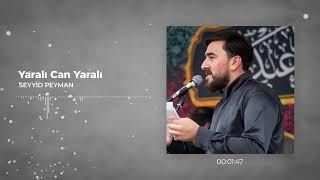 Seyyid  Peyman - Yaralı Can Yaralı (Official Aduio Clip)